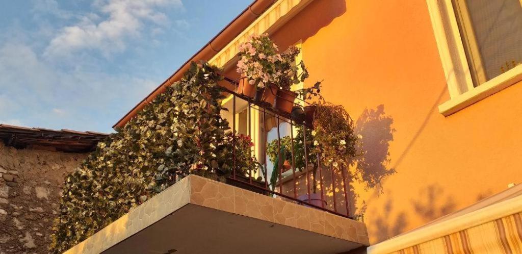 Grand Park Rooms Podgorica Exterior photo